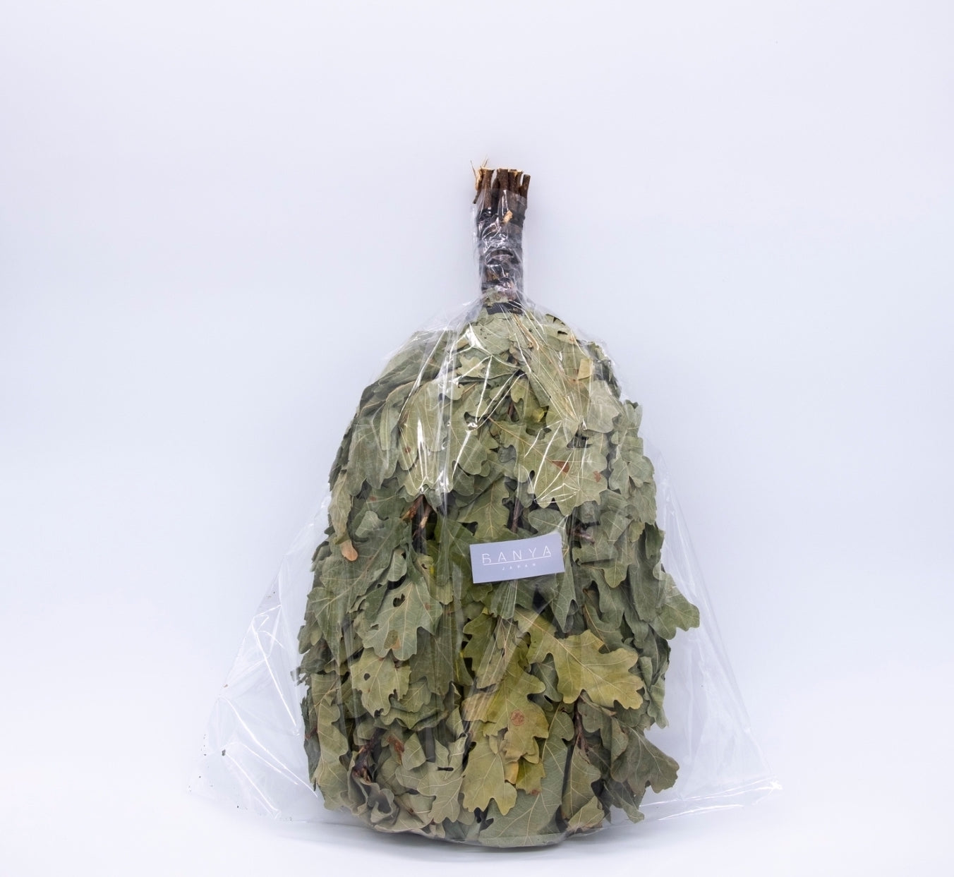 オークウィスク / Дуб「ドゥブ」のヴェーニク